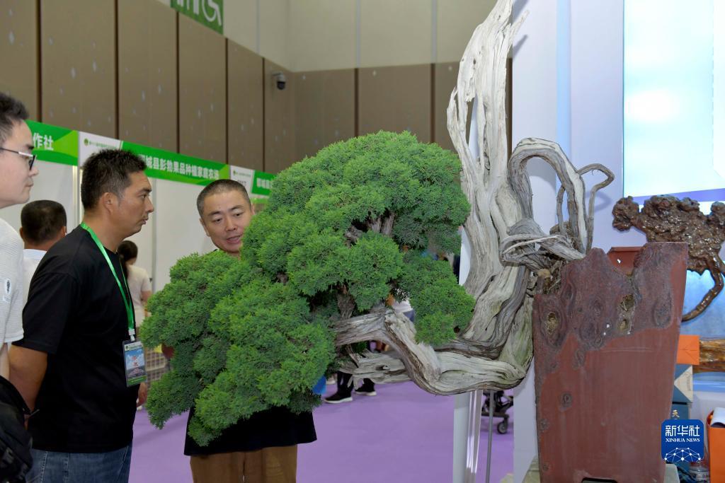 捕鱼娱乐